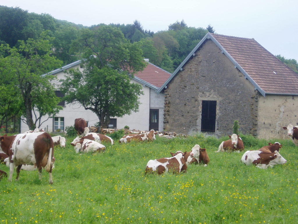 Frühstückspension D'hotes Pom' Paille *